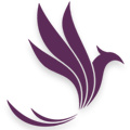 Phoenix Logo.